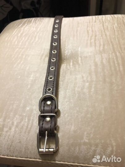 Ошейник для собаки