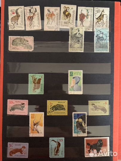 Альбом с марками марки