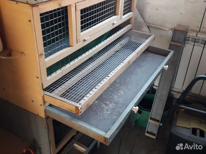 Оборудование для птиц