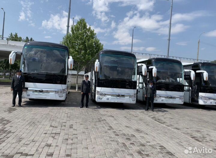 Аренда автобуса от 20 до 57 мест