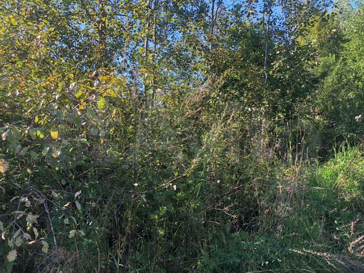 Участок 6 сот. (СНТ, ДНП)