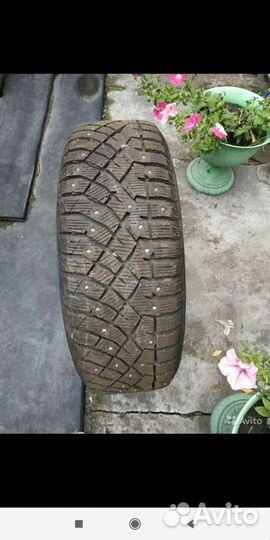 Accelera PHI 185/65 R15