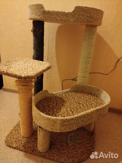 Комплекс Когтеточка