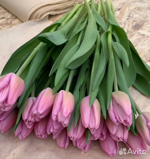 Тюльпаны к 8 марта розница