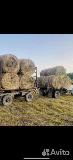 Продам сено в рулонах, 350 кг. Доставка