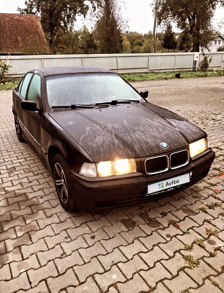 BMW 3 серия: фото владельца