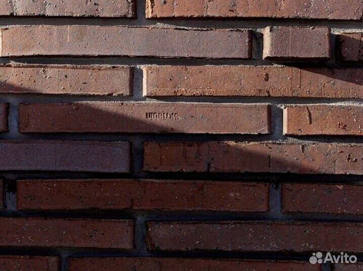 Ригель 30 сорт