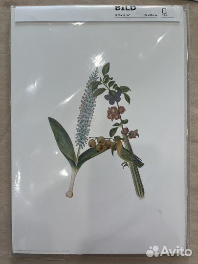 Постеры открытки Икеа Бильд