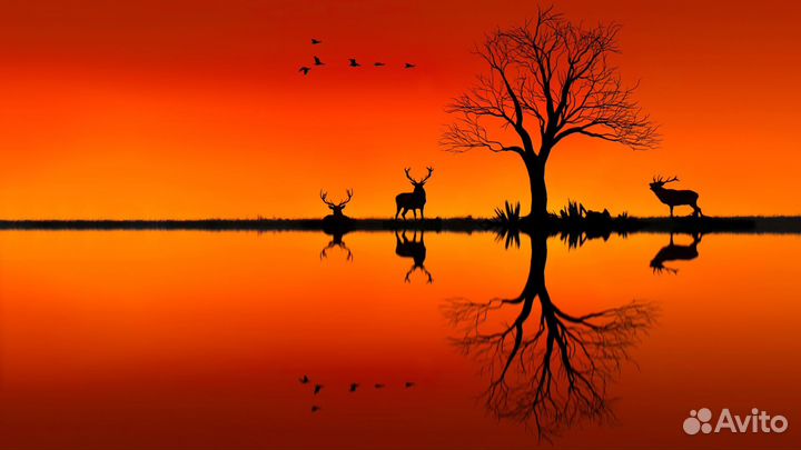 Картина печать на холсте