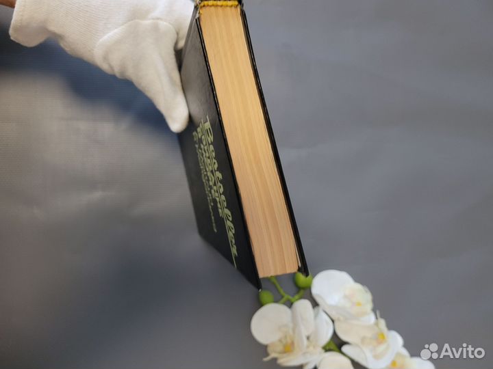 Маклин Макдональд Свидание в морге 1993