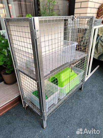 Клетка для крыс