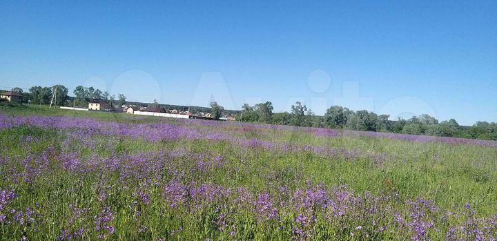 Участок 12 сот. (ИЖС)