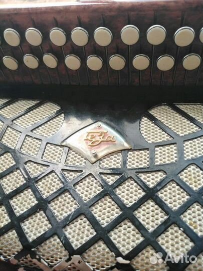 Гармошка Теза