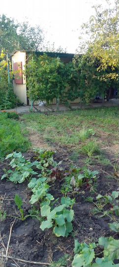 Дача 15 м² на участке 4 сот.