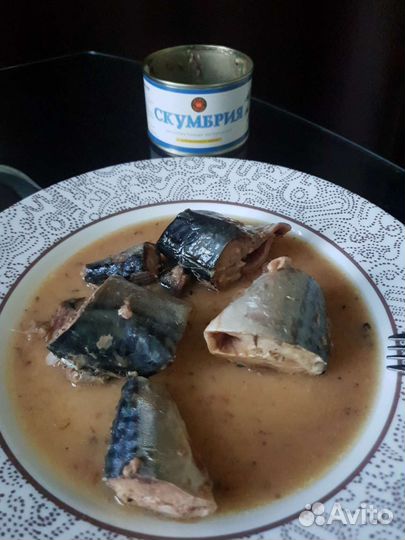 Скумбрия Дружба Народов