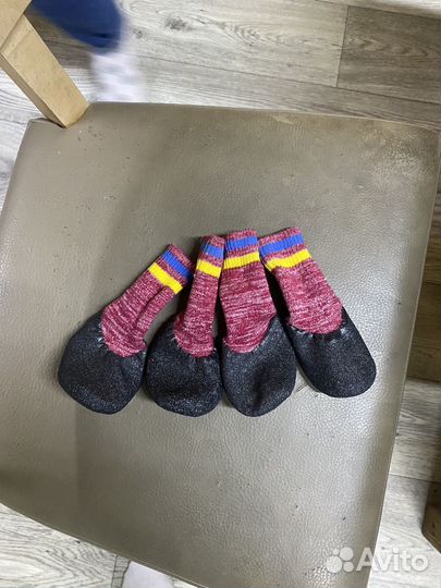 Носки для собак