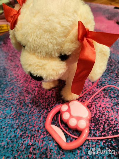 Собачка поет песню из 