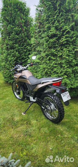 Racer ranger RC300-GY8