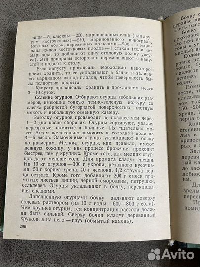 Домашний огород, Приусадебный сал-огород лот