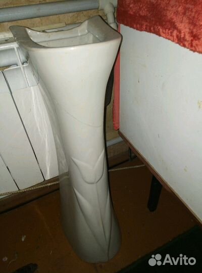 Раковина тюльпан