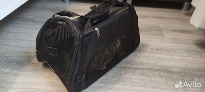 Переноска для животных новая