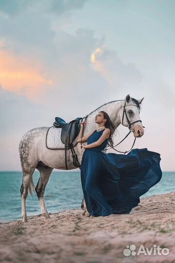 Конные прогулки