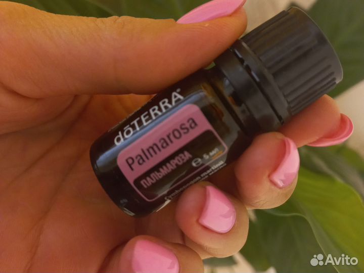Эфирное масло Пальмароза