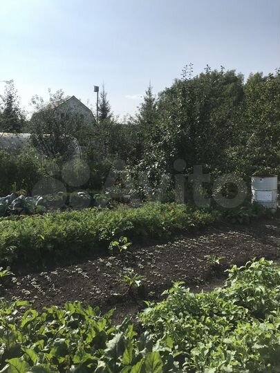 Участок 4,5 сот. (СНТ, ДНП)