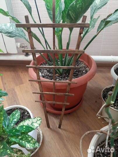 Опоры для растений