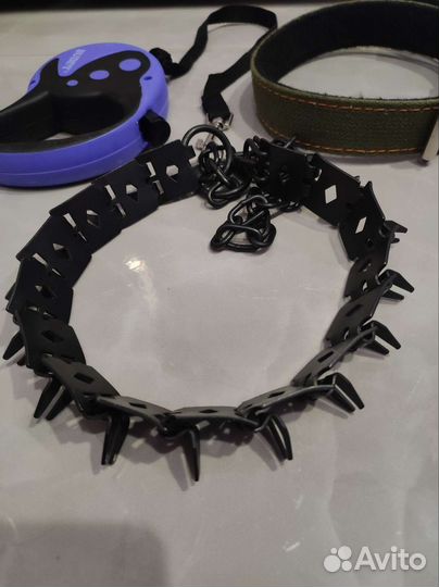 Ошейник для собак
