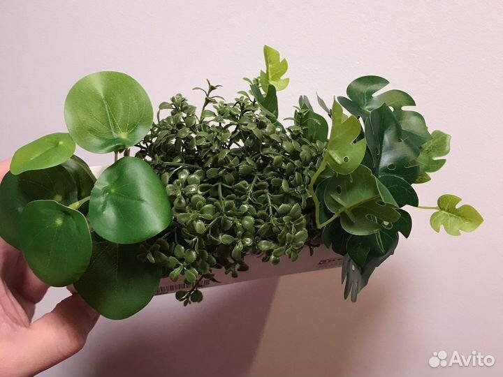 IKEA Fejka искусственное растение в горшке, 3шт