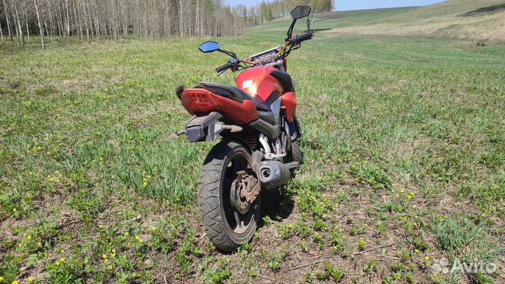 Рейсер Файтер