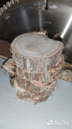 Торцевые спилы