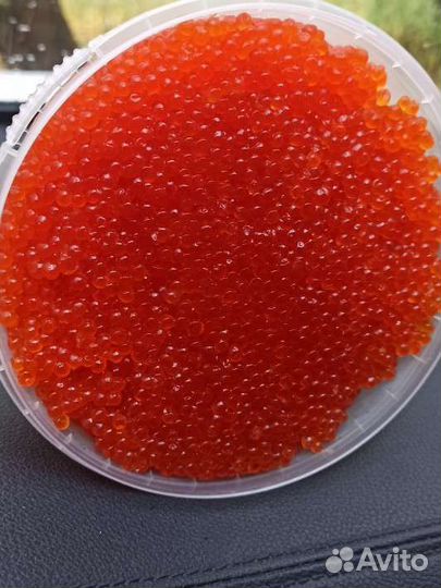 Красная икра 2023г. Камчатская, доставка