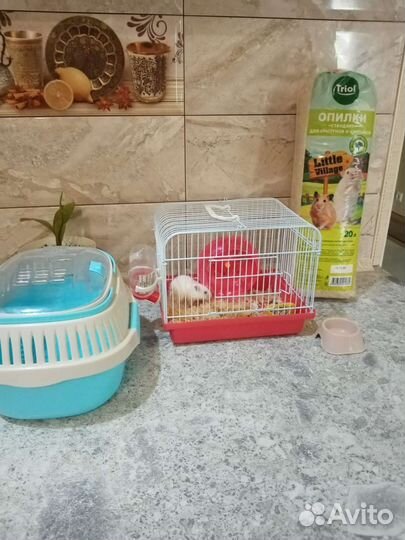 Хамя с клеткой и с прибором