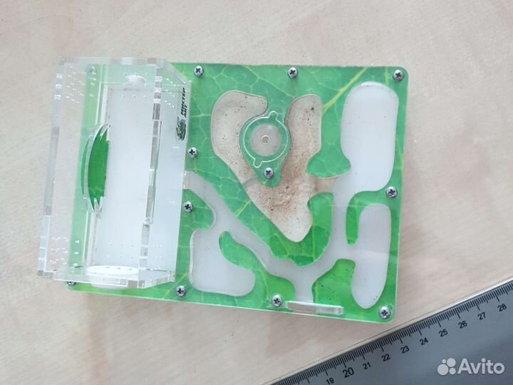 Муравьиная ферма,формикарий,без муравьёв