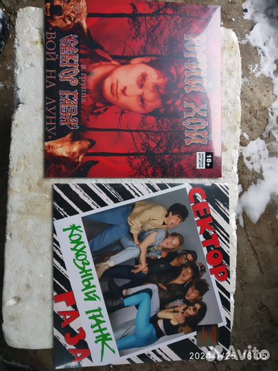 Виниловые пластинки