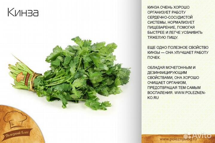 Кориандр молотый, 100г