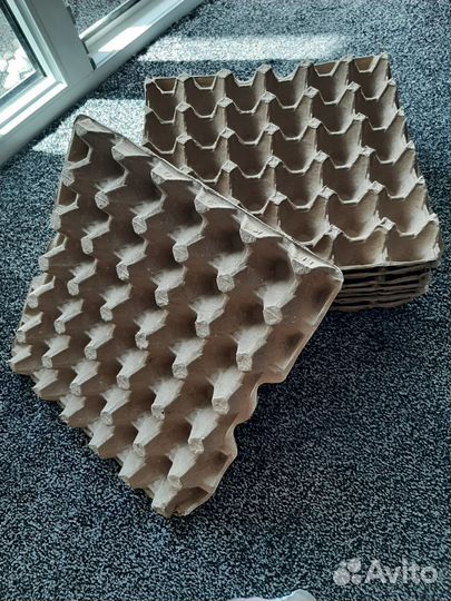 Картонный лоток для яиц