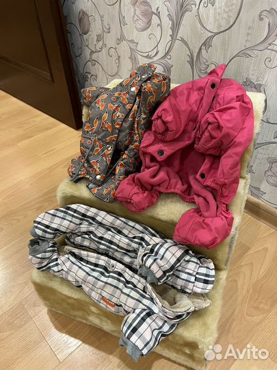 Одежда для собак мелких пород девочек