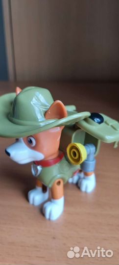 Набор щенков 