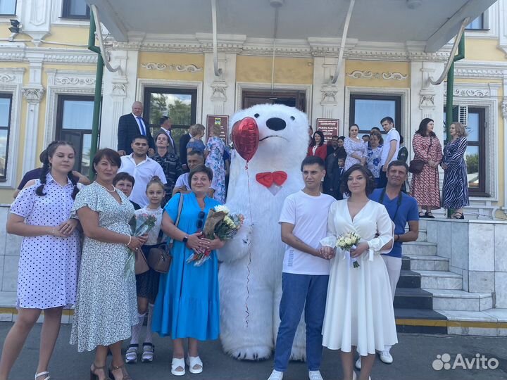 Белый мишка поздравление ростовой медведь аниматор