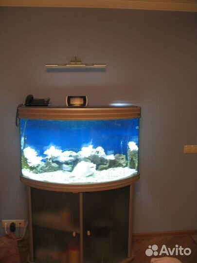 Оформление и обслуживание аквариумов и прудов