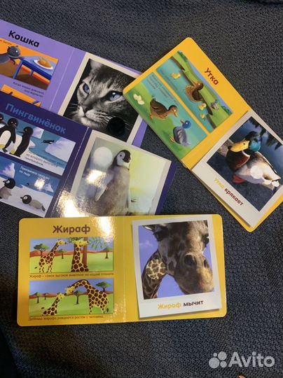 Тактильные книги Мои любимые животные