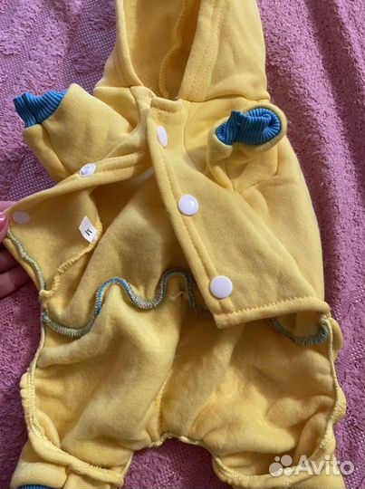 Вещи для собак