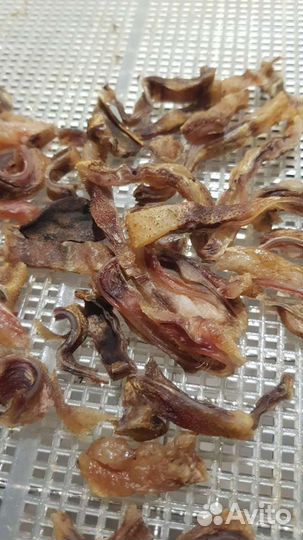 Лакомства для собак