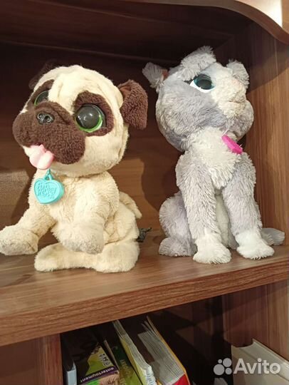 Мишка Тедди