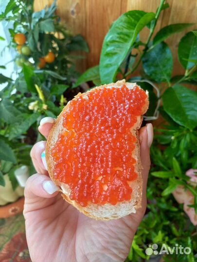 Икра красная