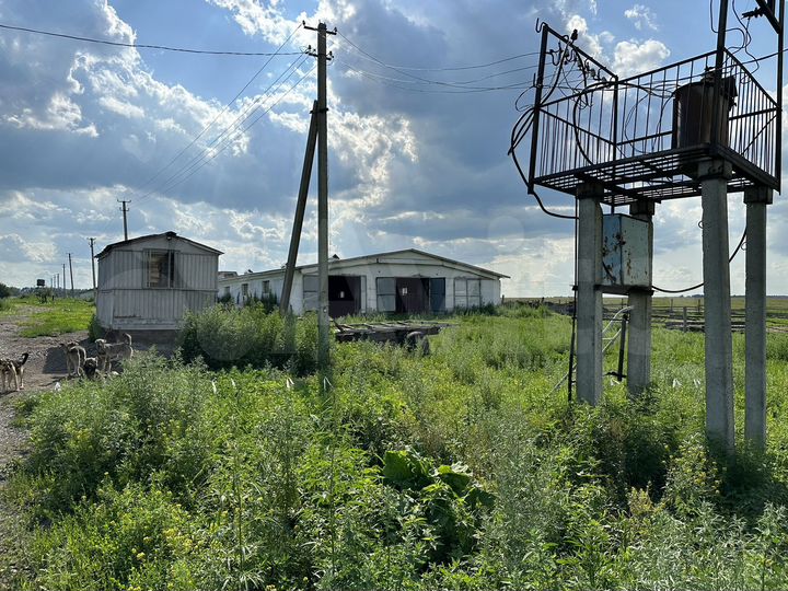 Свободного назначения, 1500 м²