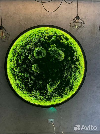 Изготовление декоративного пано из мха